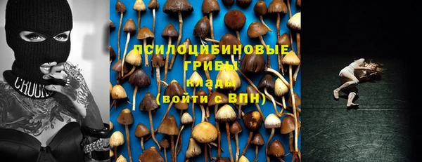 мескалин Белокуриха
