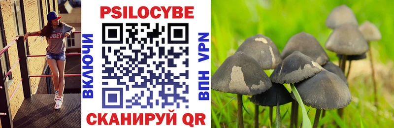 Купить  Новосокольники  Псилоцибиновые грибы мухоморы 